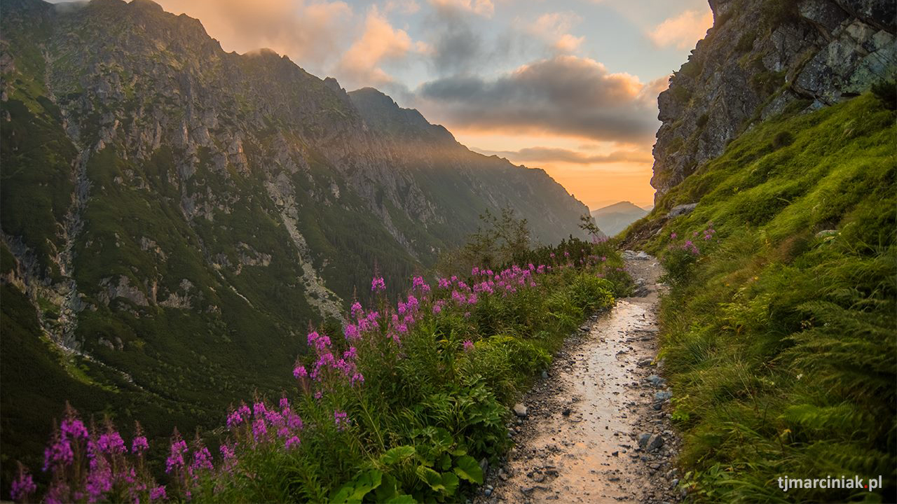 Remont szlaków w Tatrach