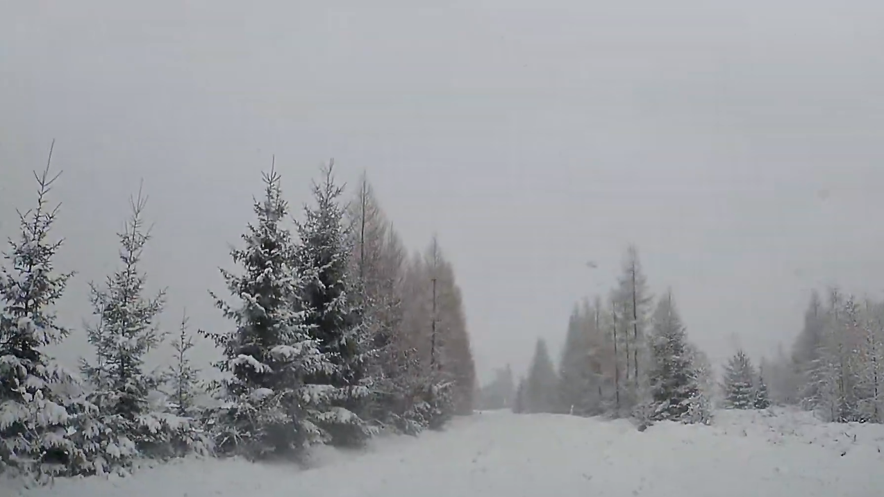 Jazda autem przez zaśnieżone Tatry słowackie