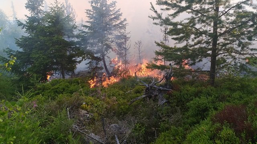 Pożar lasu w Tatrach