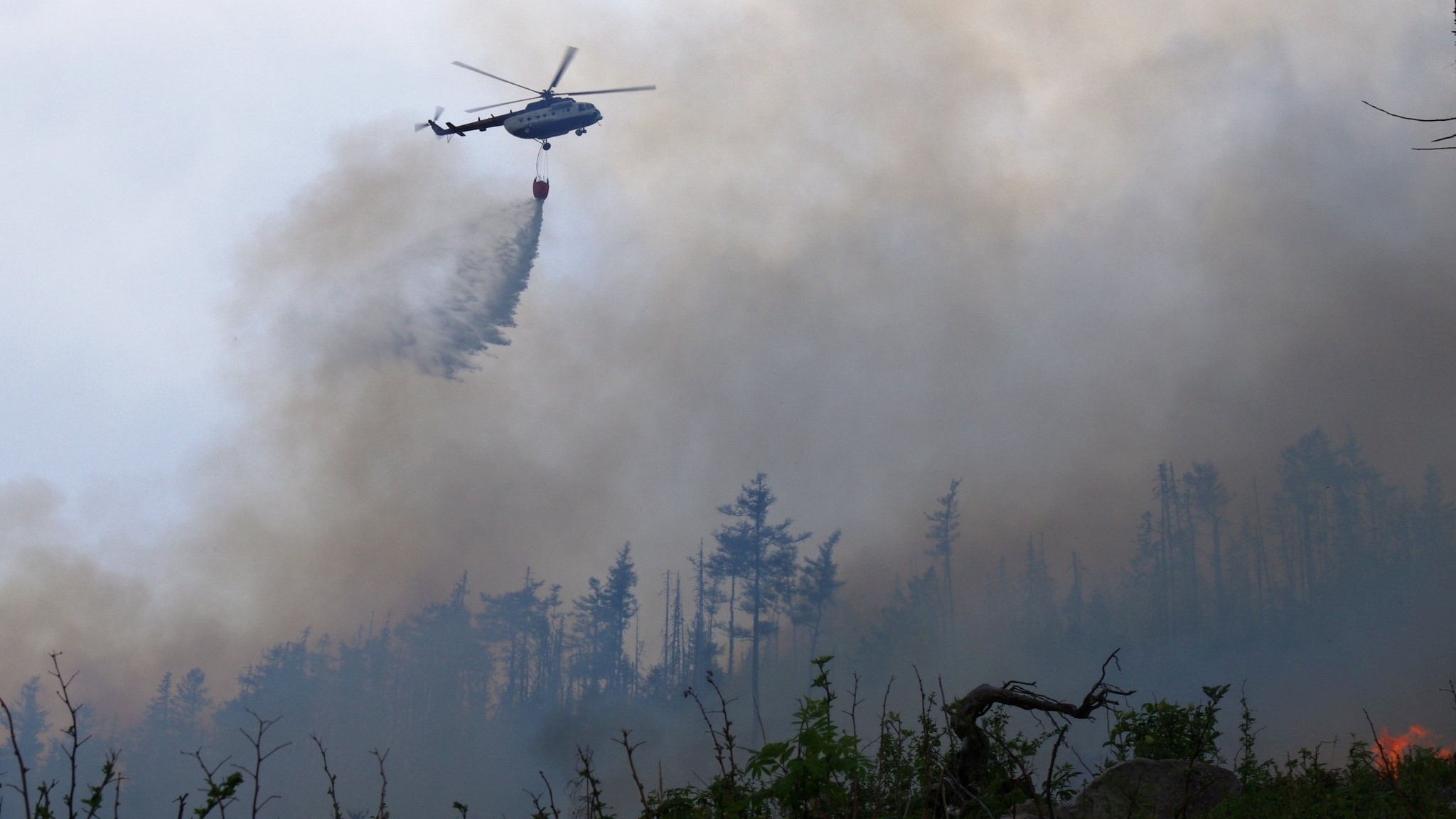 Zagrożenie pożarowe w Tatrach