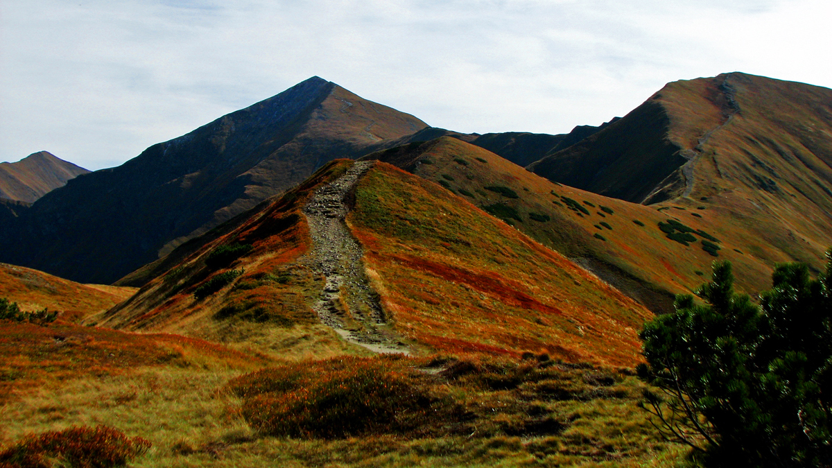 Remont szlaków w Tatrach Zachodnich
