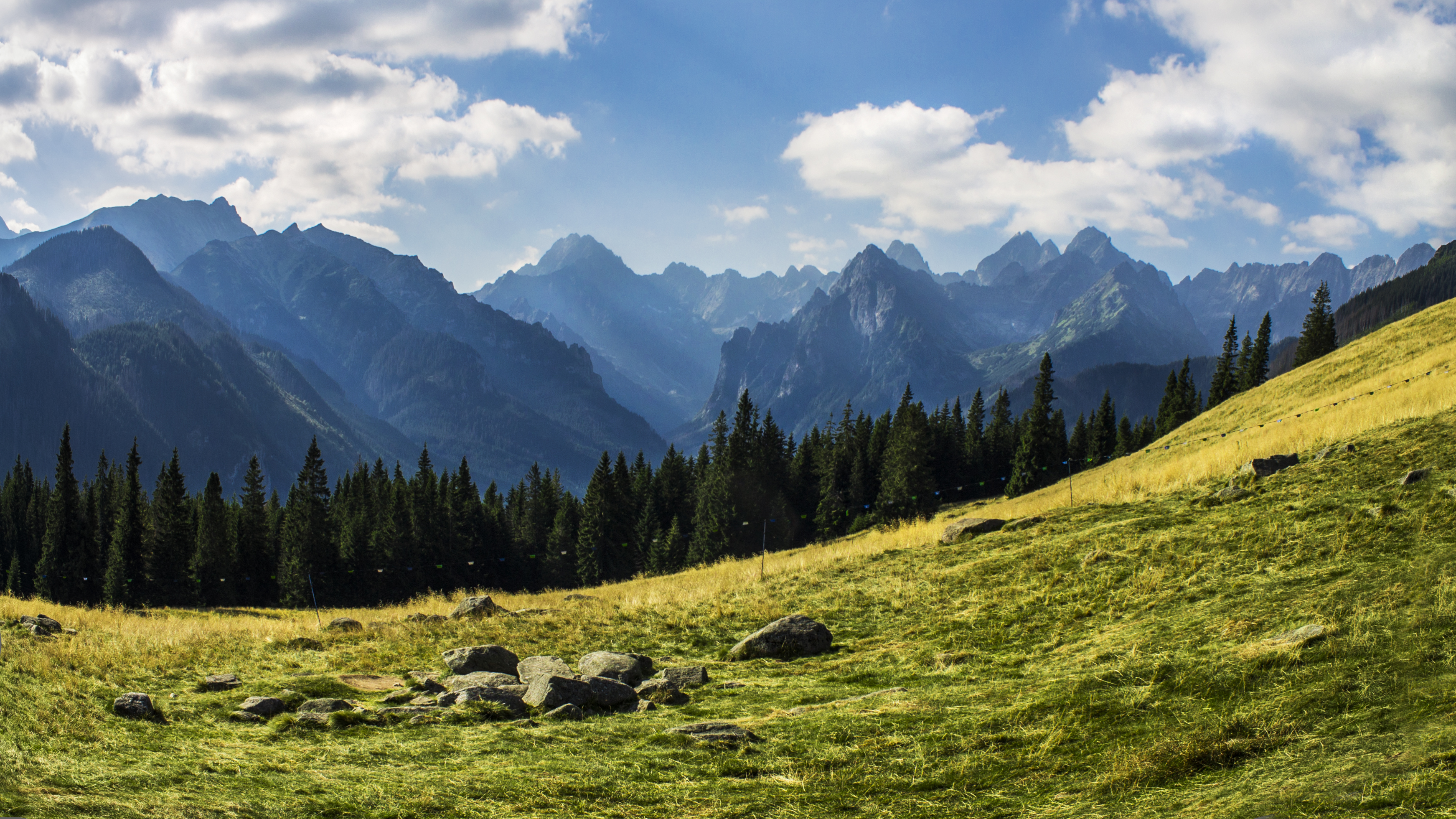 ochrona przyrody w Tatrach