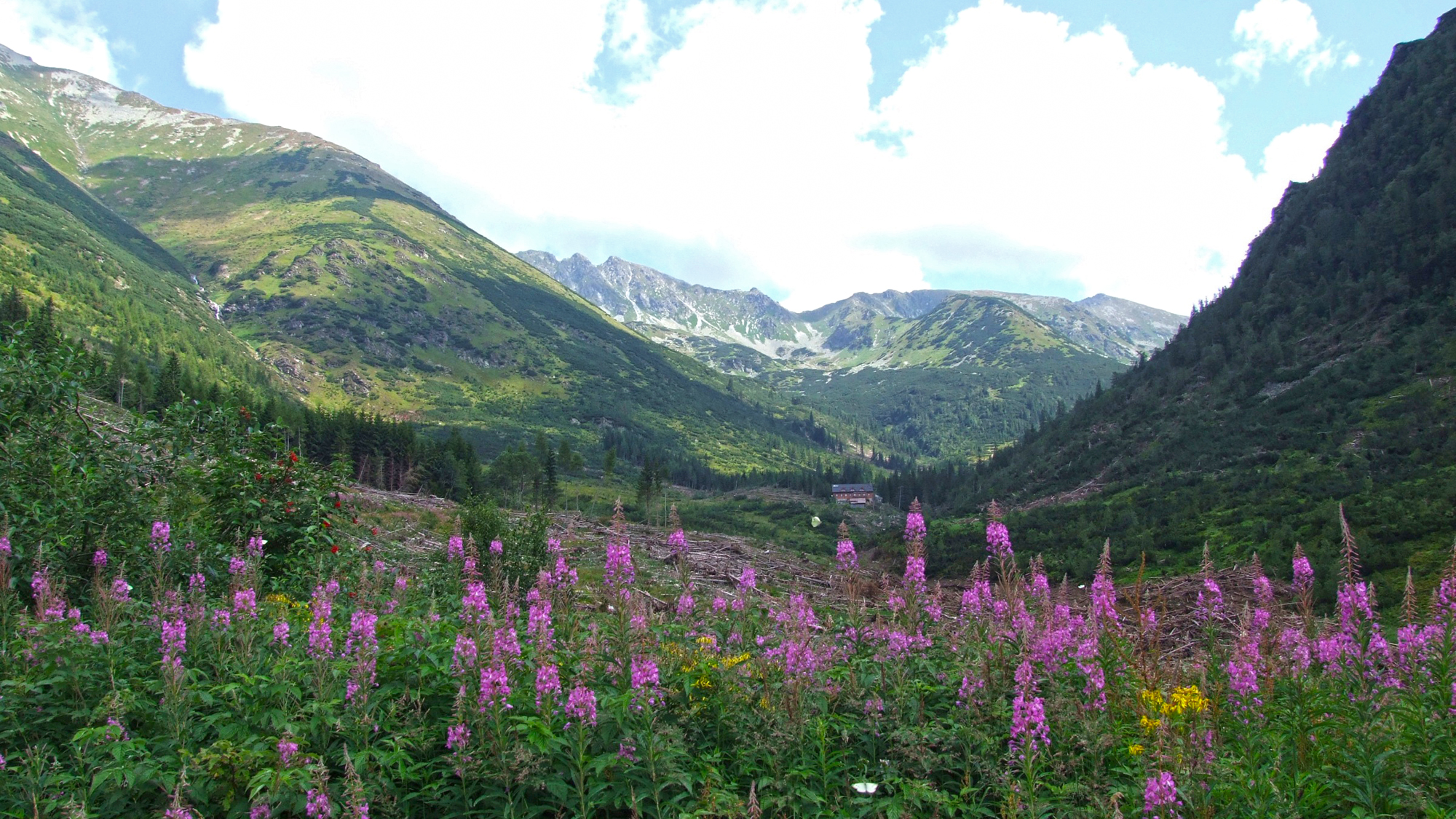 Dolina Żarska w Tatrach Słowackich
