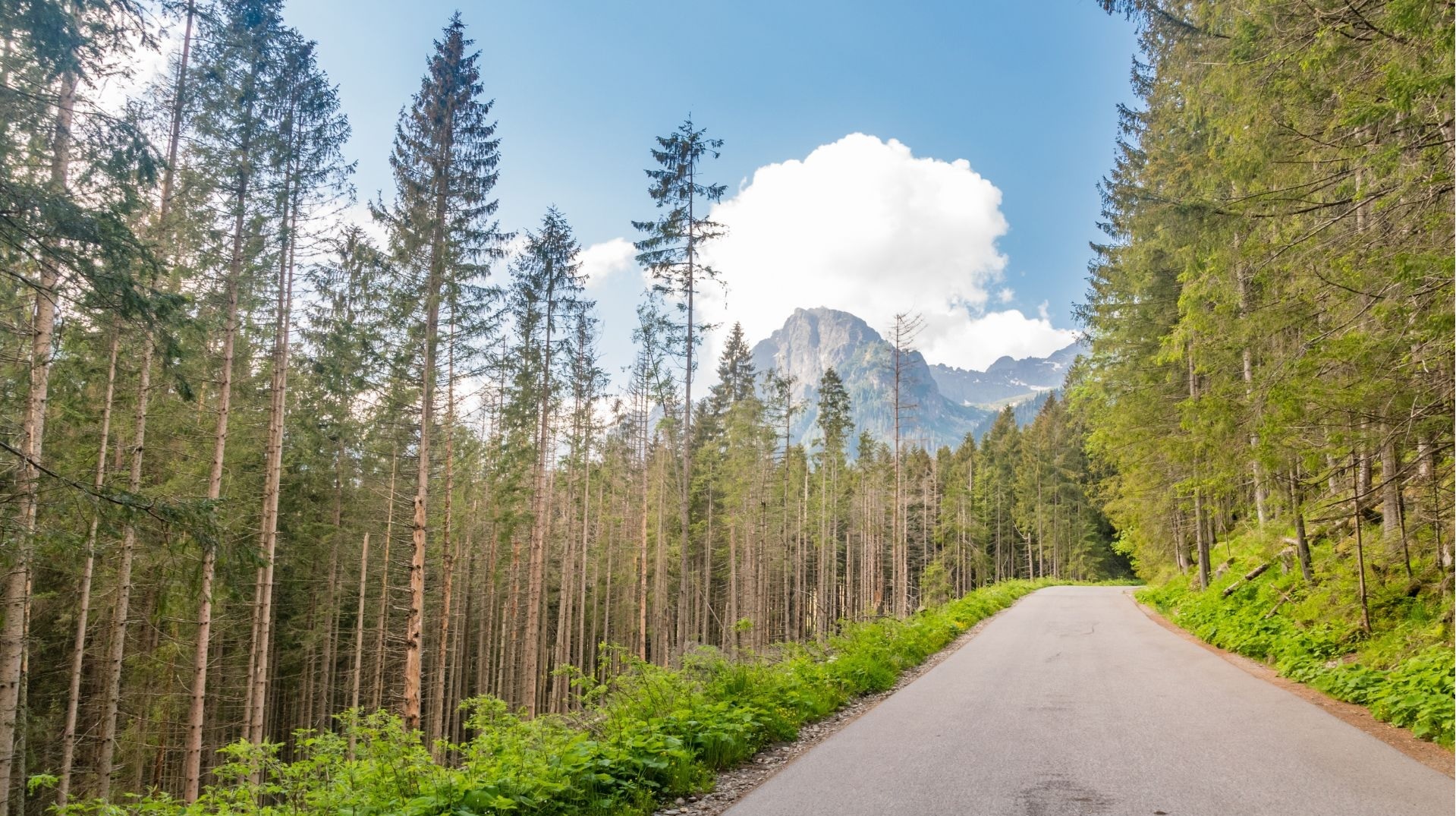 Droga nad Morskie Oko